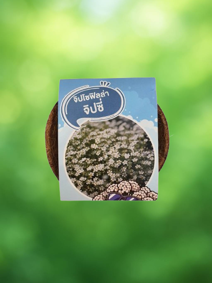 12. Aliexpress dropshipping by oberlo